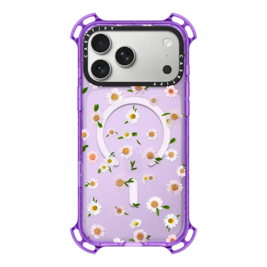 Pressed flowers daisy